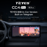 Teyes CC4 pro 12.3 inch b